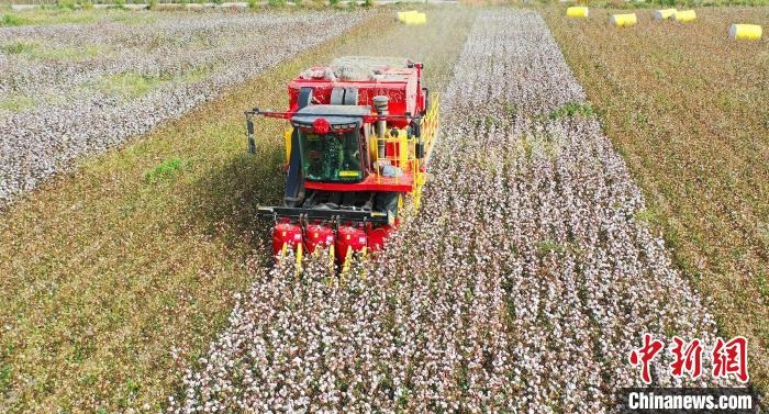 采棉機(jī)正在采收棉花，猶如在五線譜上跳動的音符，正在演奏豐收的樂章?！∷谓?攝