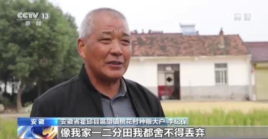 十八連豐！秋收近九成 我國糧食產(chǎn)能穩(wěn)步提升