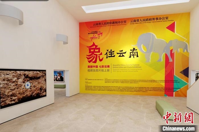 圖為“象”往云南——美麗中國(guó) 七彩云南視頻及圖片線上展截圖?！『h(yuǎn)航 攝