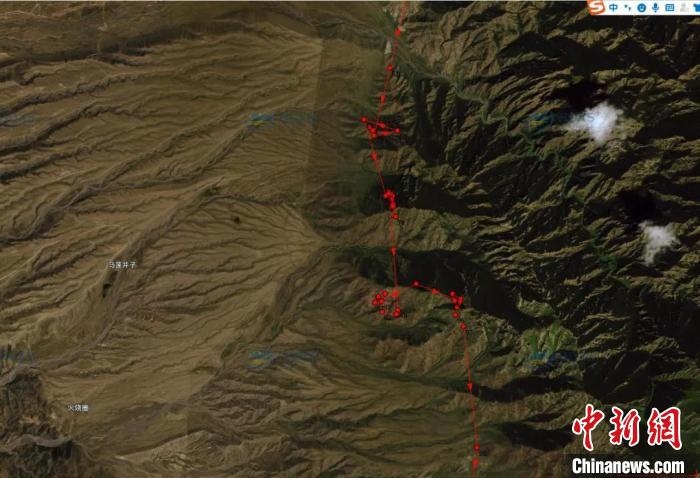 圖為雪豹故地重游來到放歸地的足跡?！让晒刨R蘭山國家級自然保護區(qū)供圖