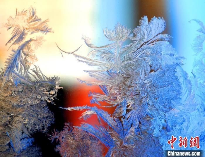 冰窗花千姿百態(tài)?！O書程 攝