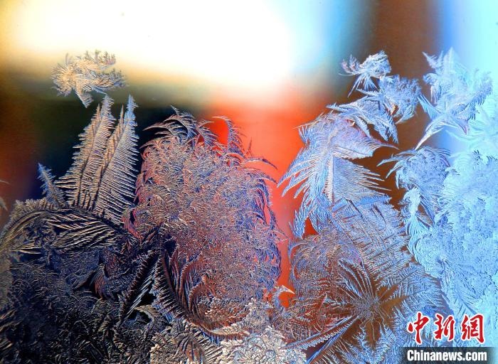 惟妙惟肖的冰窗花，似一幅風(fēng)景畫?！O書程 攝