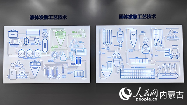 科拓生物工藝技術展示。人民網(wǎng)記者 張雪冬攝