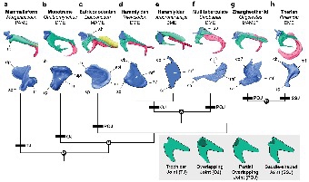 1611822121370939.png 微信圖片_20210128162056.png