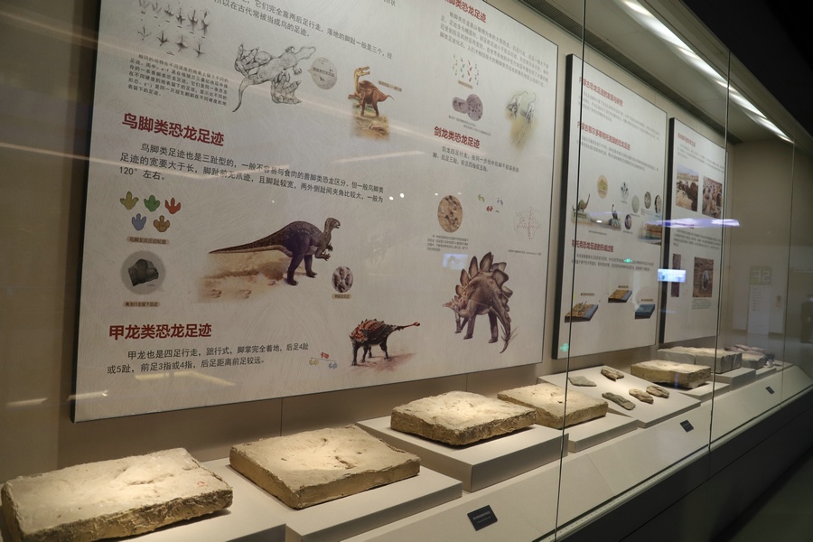 1621331755325940.jpg 恐龍足跡1.JPG