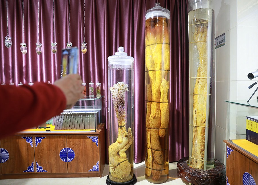 1634404628111512.jpg 7O5A8185.jpg