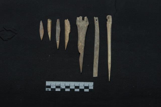 1648003141602746.jpeg 3bf33a87e950352abb38af9a15fb26fbb3118b0d.jpeg