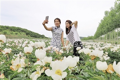 1656556799911843.jpeg a89517e5a806037600448328cf3041b1.jpeg