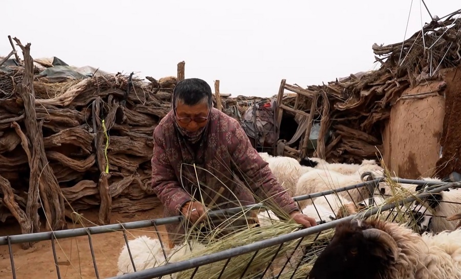 1663238153126044.png a6ea036e80ee442590b7b9ed1302c2b6_noop.png