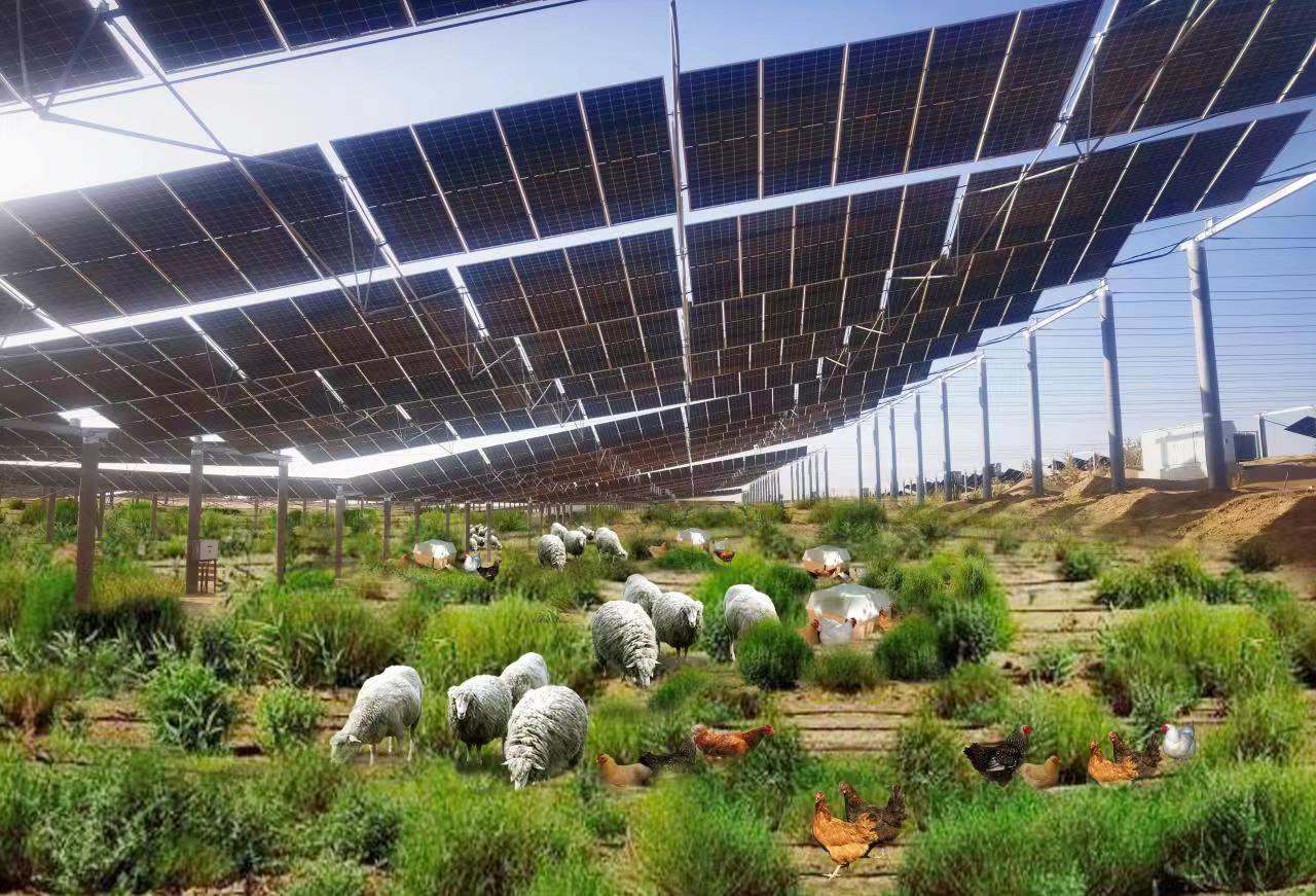 1685955591333496.png 004.png