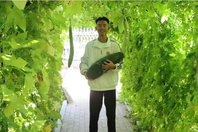 1694593855966881.jpg 5.jpg