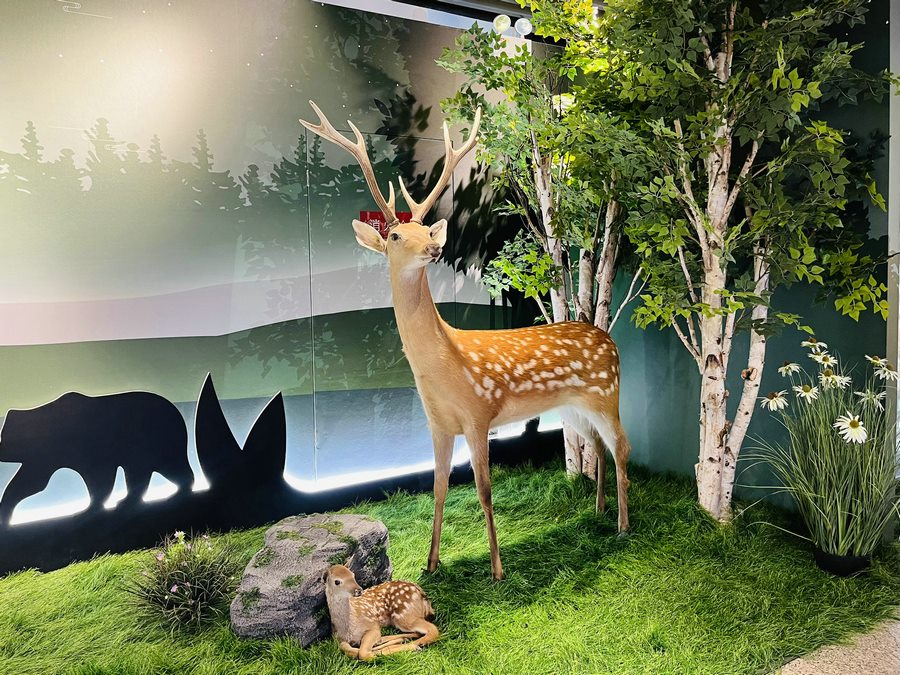 1700132611118853.png 生態(tài)文學 (6).png