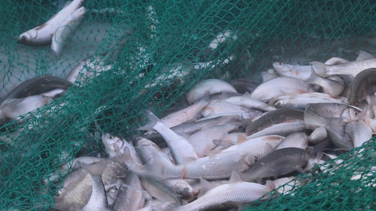 1703553502111219.jpg 1.jpg