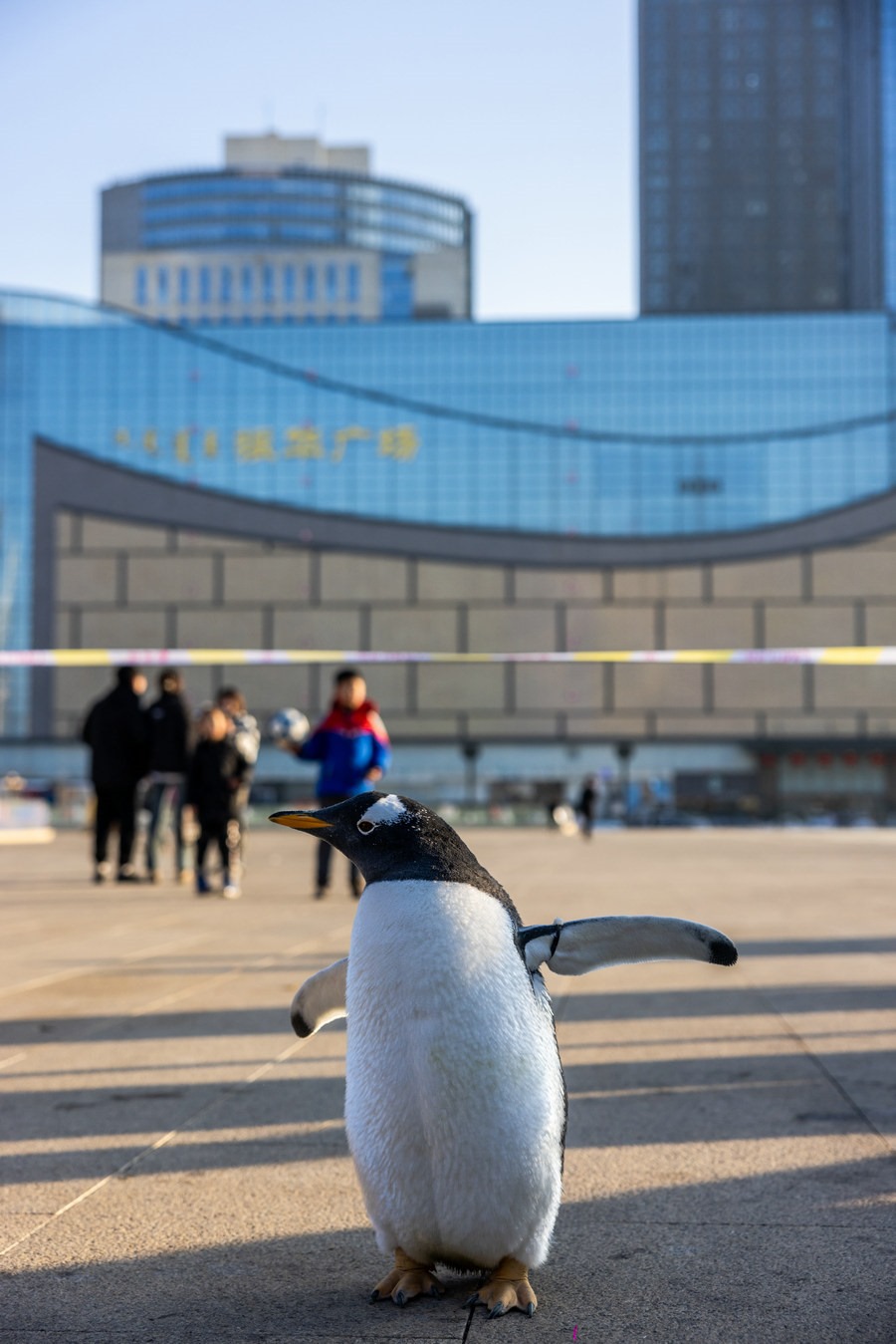 1704448550118711.jpg 3A8A6485.jpg