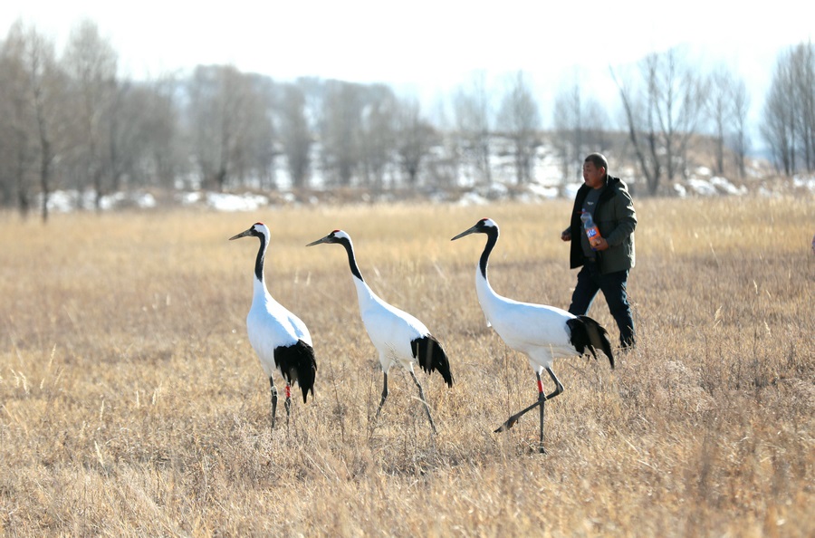 1708164483747031.jpg 7O5A4901.jpg