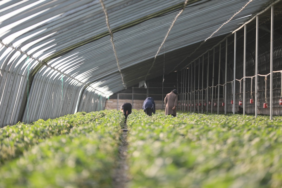 1709456780860506.jpg 7O5A8249.JPG