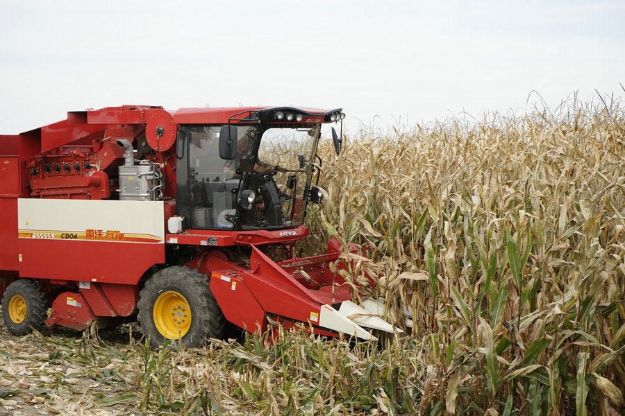 1728705191800003.jpg _DSC2271.JPG