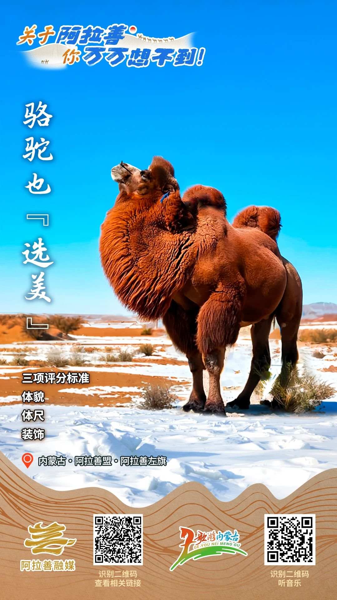 1732792970596936.jpg 56ea7e54e029f58d6e169406561b5aa1.jpg