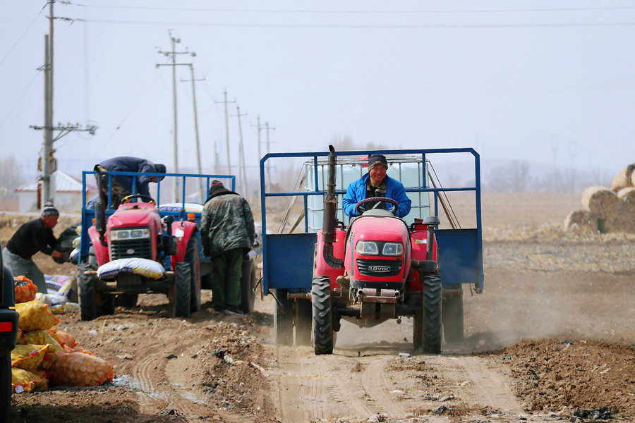 1736738999129783.jpg 3.jpg