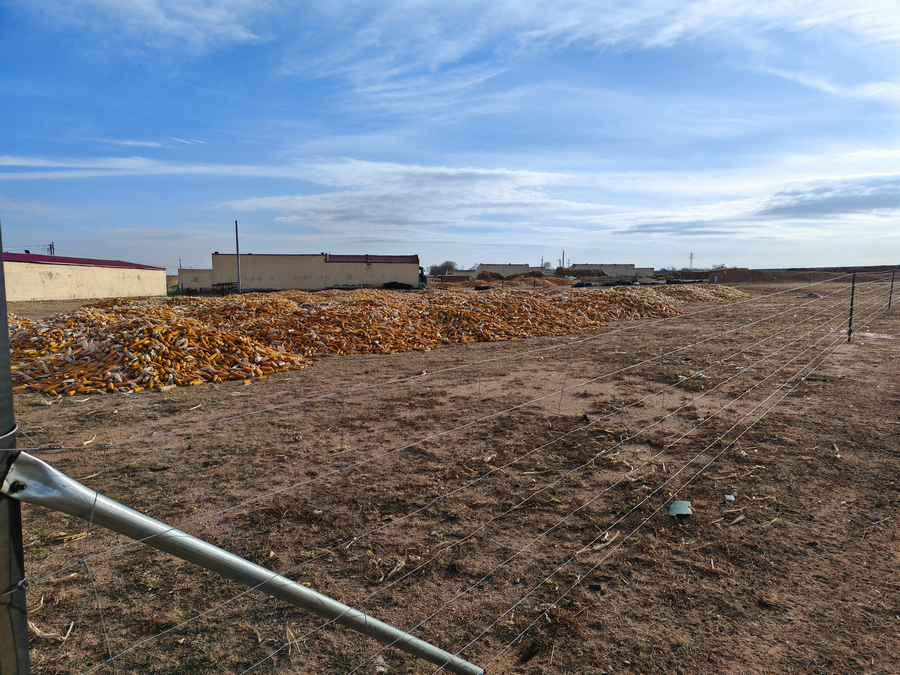 1737329562937447.jpg 微信圖片_20250120073017.jpg