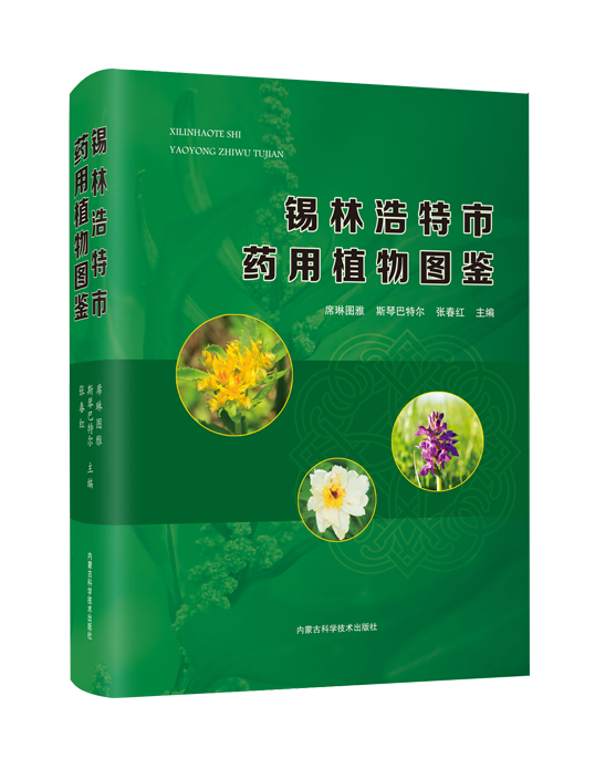 1739764813117158.png 01e87609dc7bf9a79d080c384c81fa53.png