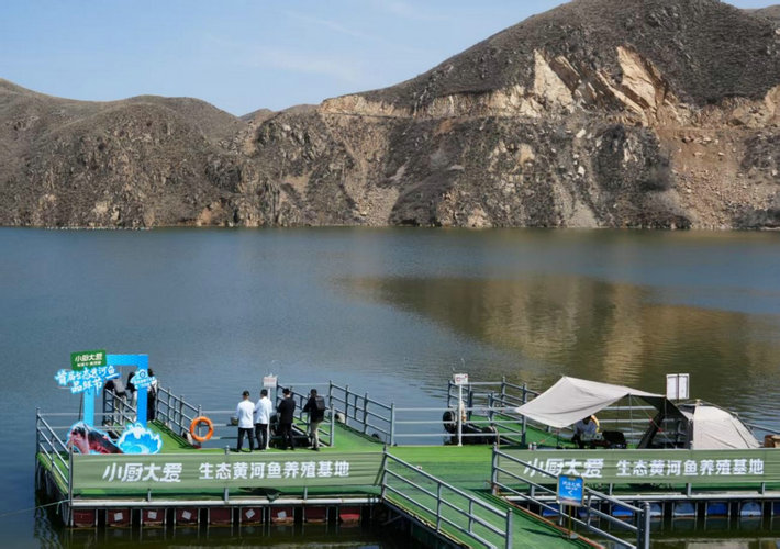 1745113186193427.jpg 魚1.jpg