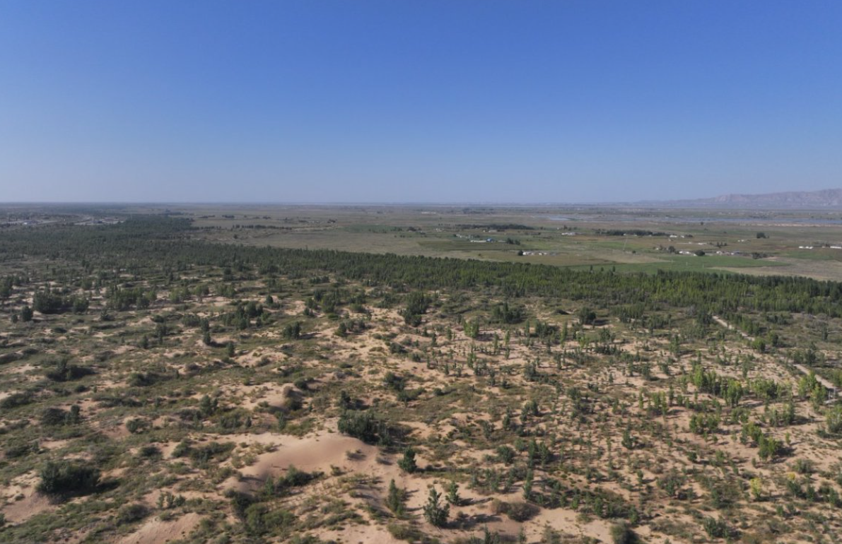 1757683544354237.png 圖片6.png