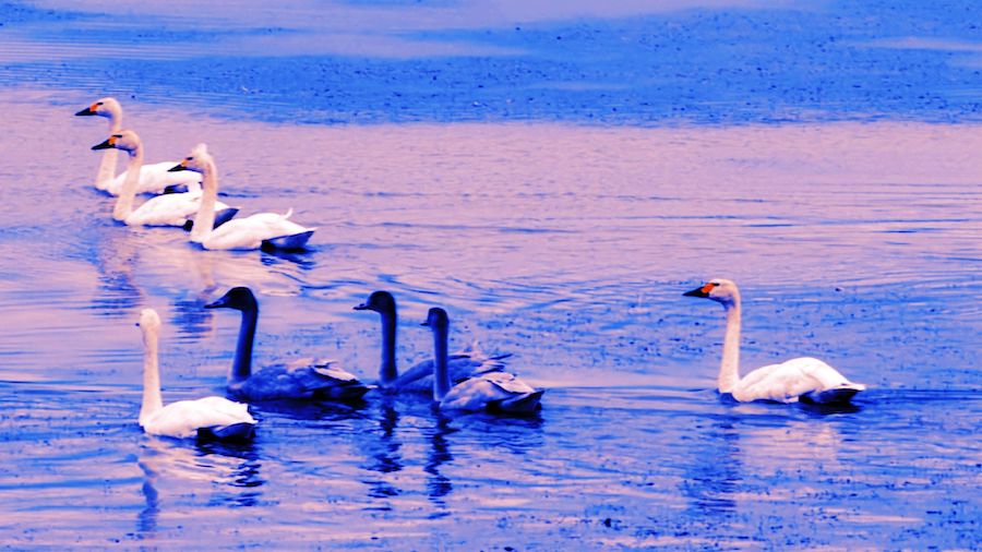 1759713382234523.jpeg WechatIMG7735.jpeg