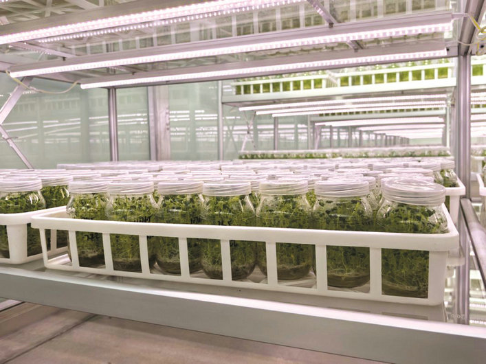 1760669747108026.jpg 農(nóng)業(yè)2.jpg