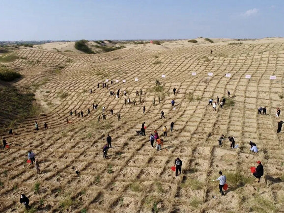 1762757803212404.jpg 獲獎(jiǎng)5.jpg