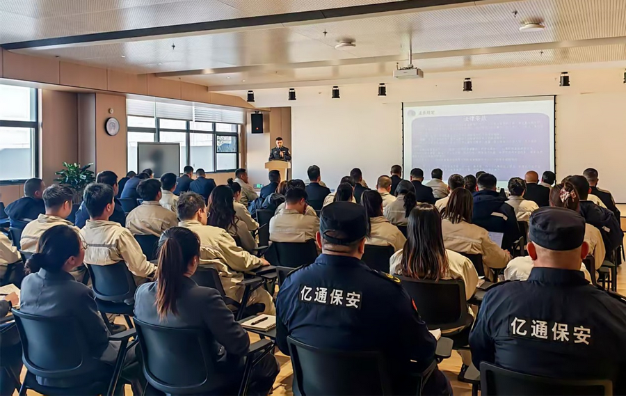 1764907155741738.png 1.png