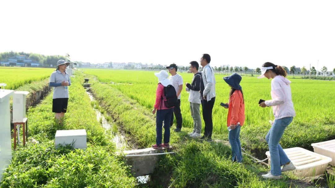 △云南大理古生村科技小院成員在田間調(diào)查。