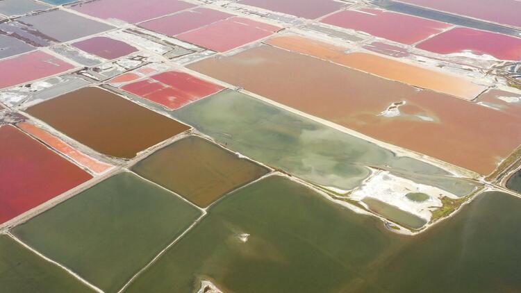 鑒往知來，跟著總書記學(xué)歷史丨走進一座博物館，尋根五千年中華文明