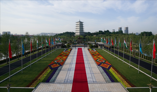 時(shí)政微觀察丨石榴花開(kāi)的時(shí)節(jié)