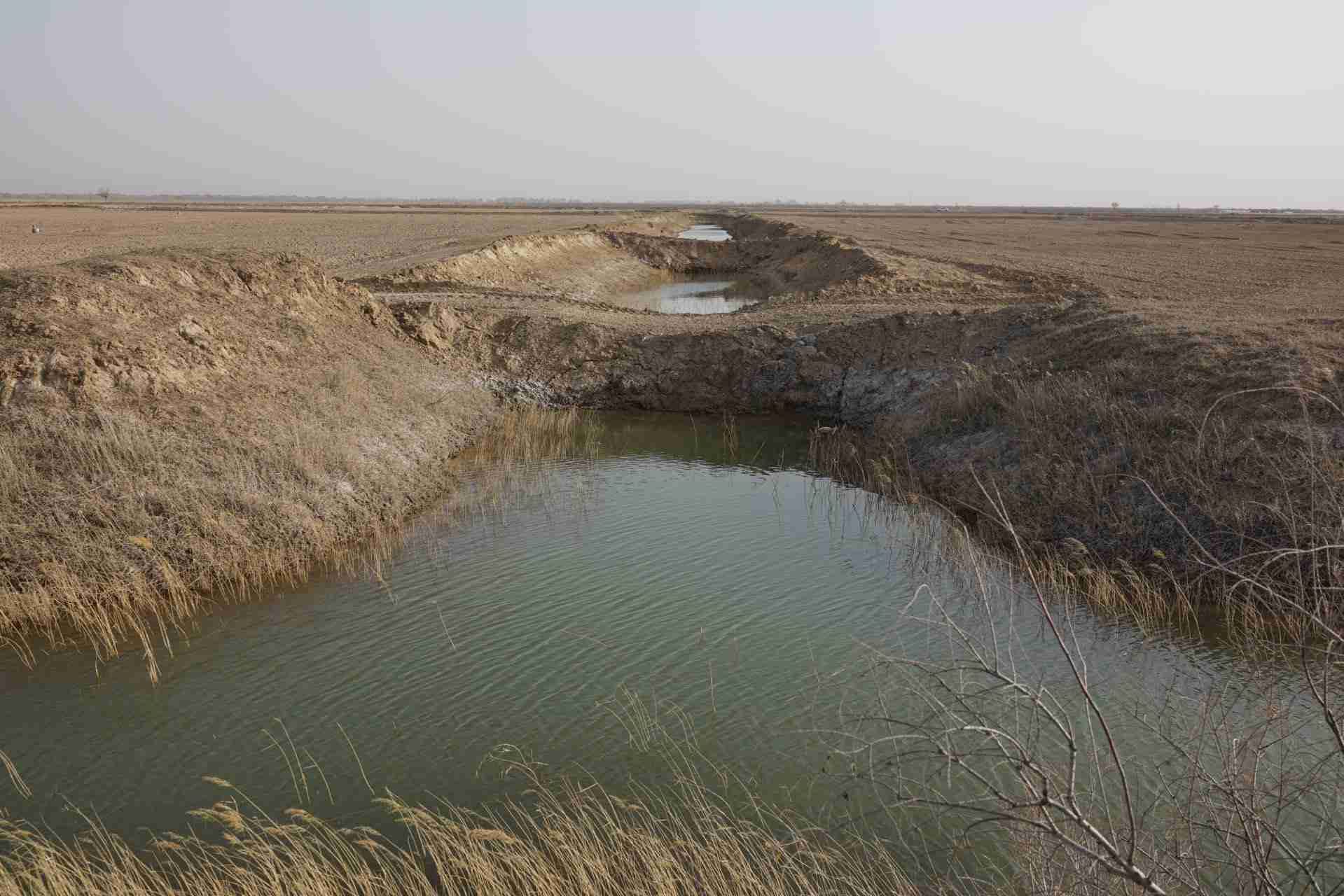 堵塞的排堿渠。 人民網(wǎng)記者 游天燚攝