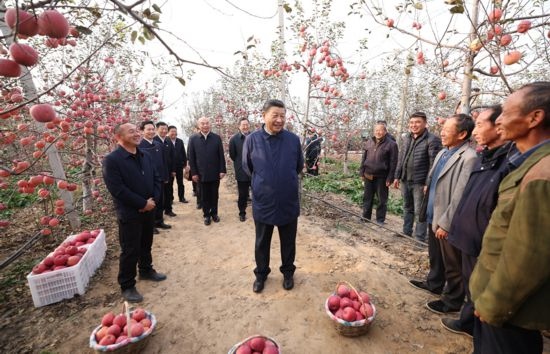 2022年10月26日，習近平總書記在陜西省延安市安塞區(qū)高橋鎮(zhèn)南溝村蘋果園同老鄉(xiāng)們親切交流。