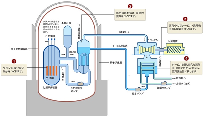 核電站運作原理圖。通常的核電站排水未直接接觸核燃料。（圖片來源：日本北海道電力株式會社網(wǎng)站）