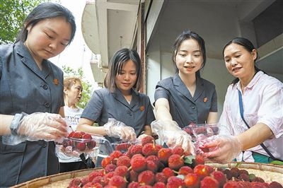 志愿者和村民一起將摘下的楊梅裝進(jìn)食品盒里。