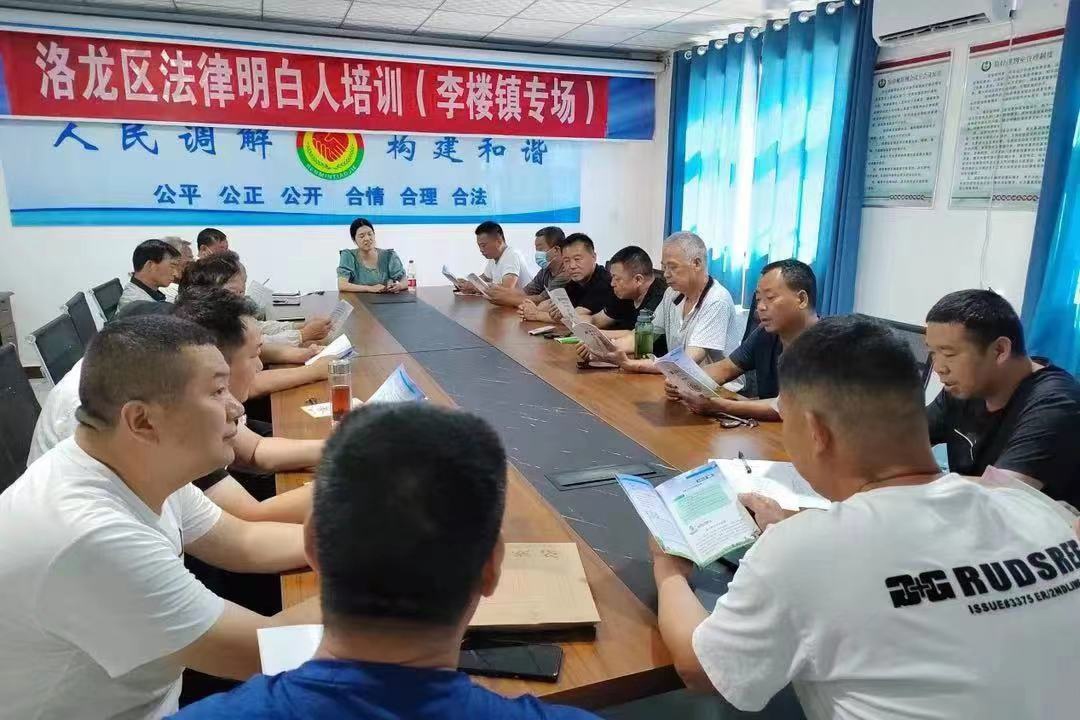 河南省洛陽市洛龍區(qū)李樓司法所開展《民法典》專題普法講座暨“法律明白人”培訓(xùn)。河南省司法廳供圖