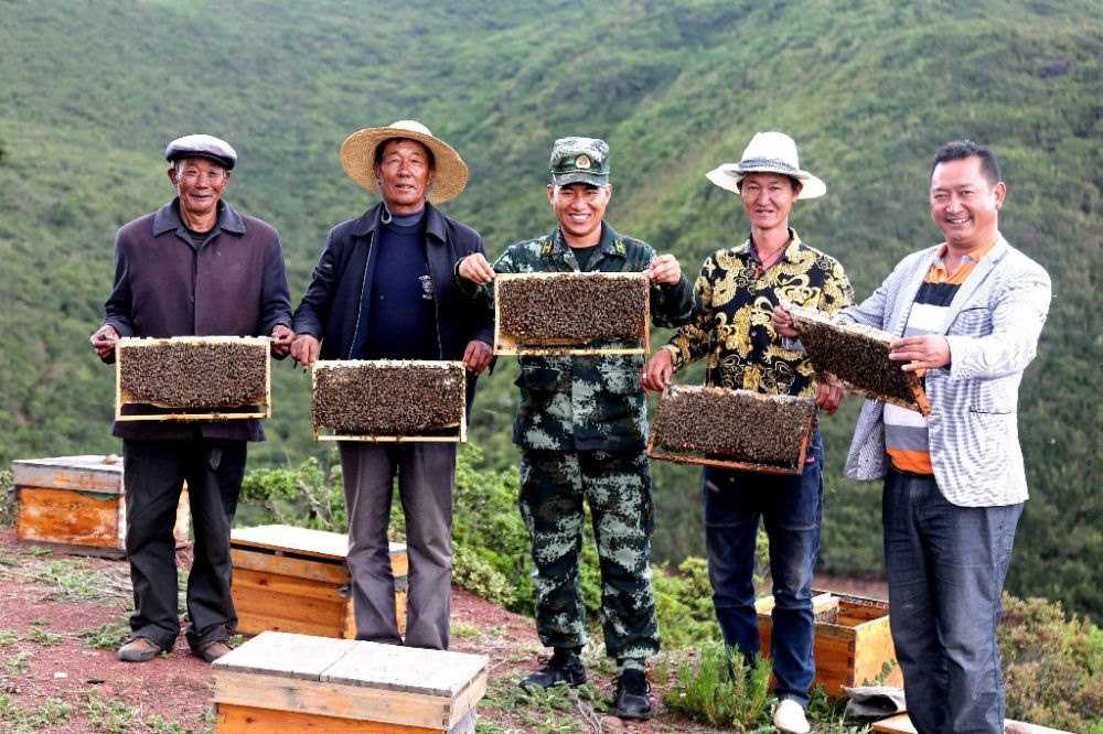 ↑武警四川總隊(duì)涼山支隊(duì)精準(zhǔn)幫扶昭覺縣梭梭拉打村發(fā)展養(yǎng)蜂產(chǎn)業(yè)，總隊(duì)駐村扶貧干部布哈（中）和村民一同展示豐收成果（2019年6月12日攝）。新華社發(fā)（楊劍 攝）