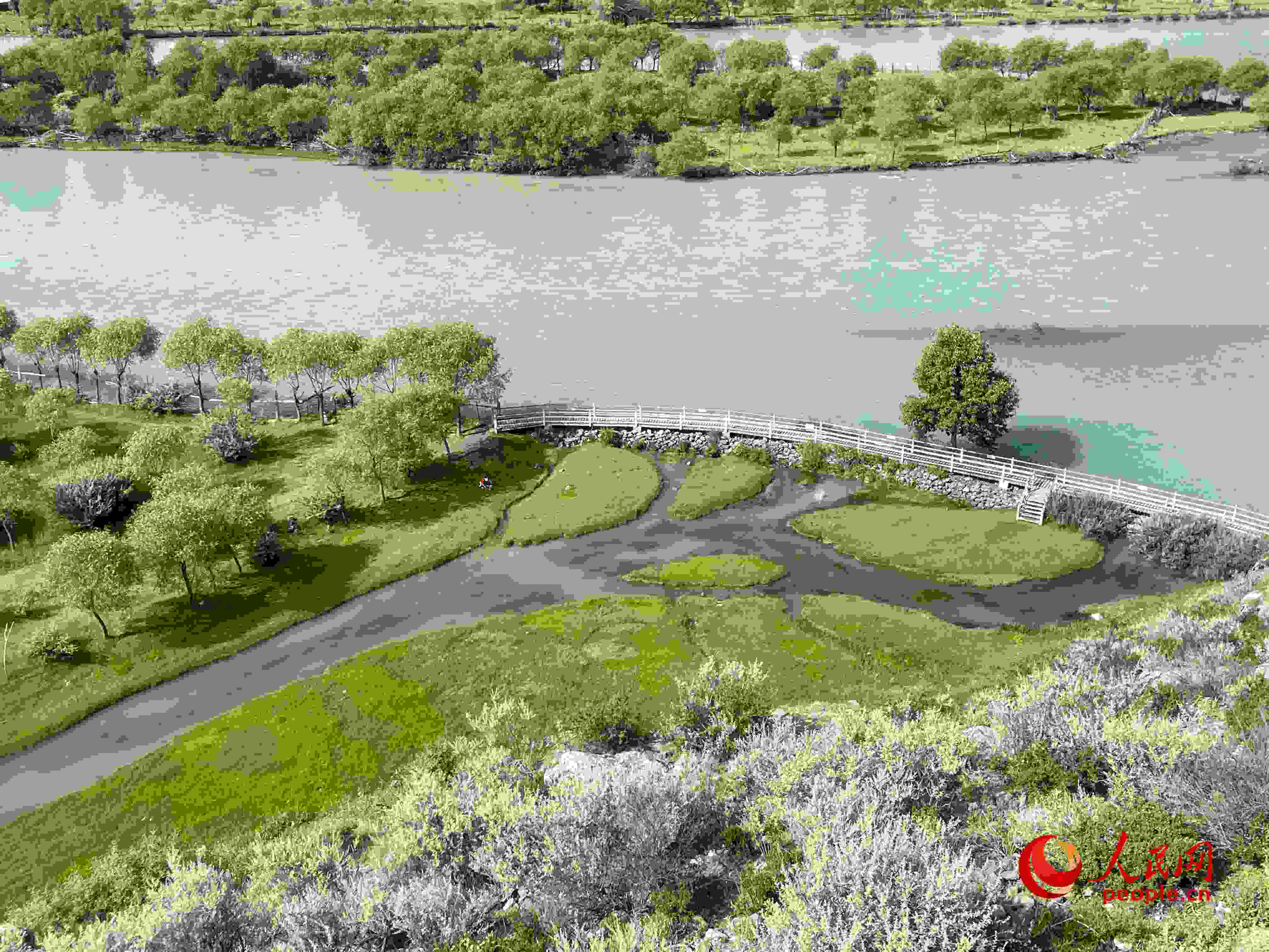 夏日的雅尼國家濕地公園生機盎然，如詩如畫。人民網(wǎng) 周靜圓攝