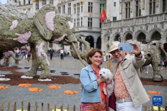 8月11日，觀眾在比利時(shí)布魯塞爾“鮮花時(shí)光”展覽上拍照。新華社記者 趙丁喆攝