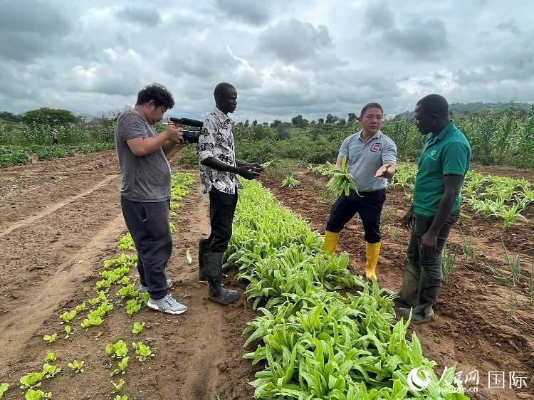人民網(wǎng)記者走進(jìn)尼日利亞農(nóng)業(yè)技術(shù)示范中心。人民網(wǎng)記者 趙艷紅攝