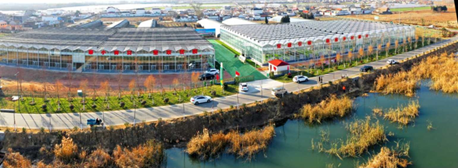 白樓灣三產(chǎn)融合發(fā)展。宋道森攝