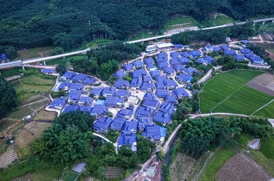 磨憨鎮(zhèn)曼莊村大龍哈小組現(xiàn)代化邊境幸福村新貌。人民網(wǎng)記者 符皓攝