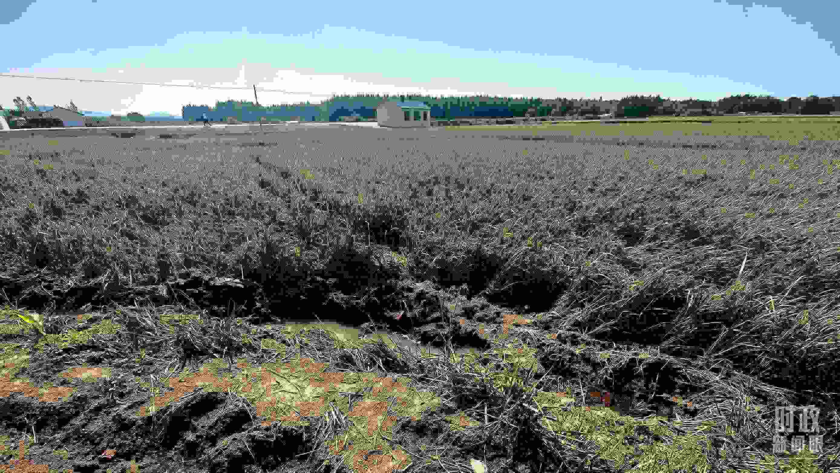 △圖為龍王廟村在洪災(zāi)中受損的農(nóng)田。（總臺(tái)央視記者史偉拍攝）