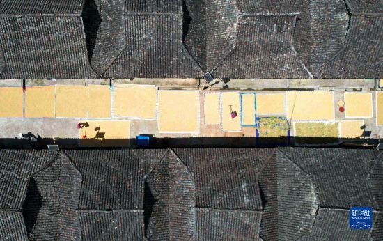 9月16日，在貴州省黔東南苗族侗族自治州從江縣加勉鄉(xiāng)污扣村，村民在晾曬稻谷（無人機照片）。