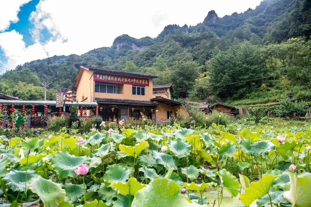 這是8月28日拍攝的華溪村村民開設(shè)的農(nóng)家樂外景。新華社記者 唐奕 攝