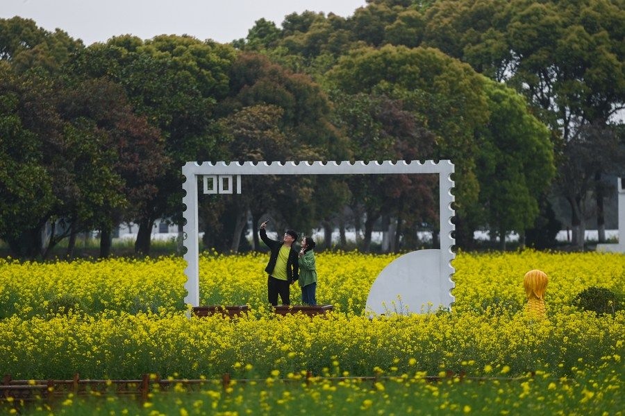  游客在浙江嘉興市秀洲區(qū)王店鎮(zhèn)鎮(zhèn)中村的“青青樂地”農(nóng)耕文化園內(nèi)游玩（2023年4月3日攝）。