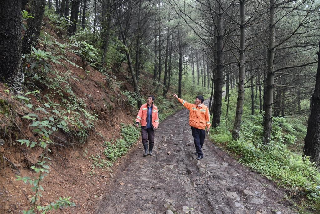 海雀村生態(tài)護(hù)林員馬正安（左）和海雀村林管員王光德（右）在日常巡山護(hù)林。新華社記者 李凡 攝